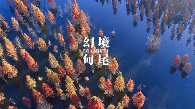 逗小猴开心系列167